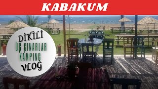 Dikili Kabakum  Üç Çınarlar Kamping  Kurban eti pişirmesi [upl. by Mosera552]