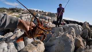 False Bay fishing off the rocks Catch amp Cook [upl. by Aicilehp485]