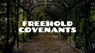 Introduction to Freehold Covenants Part 1  Land Law [upl. by Adela]