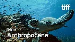 ANTHROPOCENE Trailer  TIFF 2018 [upl. by Llehcim]