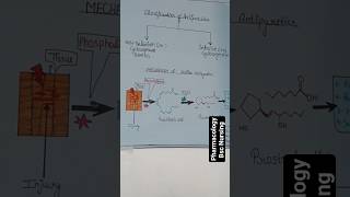 Classification of Antipyretic Drugs  Pharmacology bsc nursing 2yrs [upl. by Eelyram]