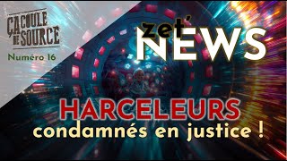 Des harceleurs condamnés ZetNEWS [upl. by Ayekal888]