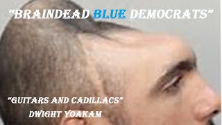 Braindead Blue Democrats [upl. by Annaeirb752]