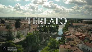 The Story of Terlato Vineyards – Passion amp Quality from Friuli Colli Orientali [upl. by Ahsemrac]