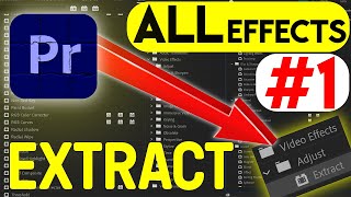 EXTRACTAdjustVideoEffects ALL amp EVERY Effect in Adobe Premiere Pro 2023 ExplainedEp1UrduHindi [upl. by Yenruoc]