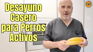 🐶 DESAYUNO CASERO PARA PERROS ACTIVOS 🐶 [upl. by Florri]