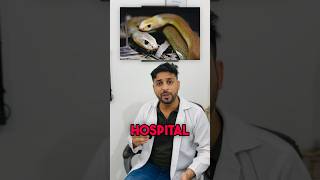 SNAKE BITE🐍PRECAUTIONS AND TREATMENTsubscribesnakebitedoctortipssnaketreatmentmbbsdoctorlife [upl. by Ervine411]