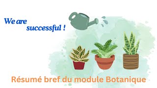 Petit résumé du module botanique Deuxième année SNV [upl. by Malas]