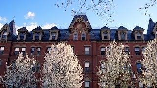 Tufts in Spring [upl. by Franky]