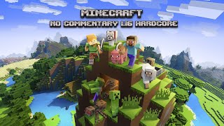 Minecraft 116 Hardcore No commentary 1 [upl. by Blaire]