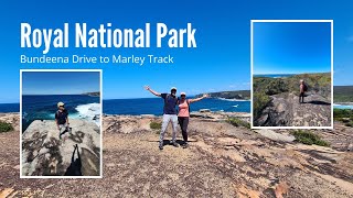 Royal National Park Sydney  Walking Track  Marley Beach  4K [upl. by Dawaj]