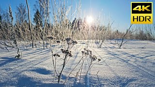 Frosty Winter HDR10 4K Ultra HD Sample Footage HDR 10 [upl. by Lehmann279]