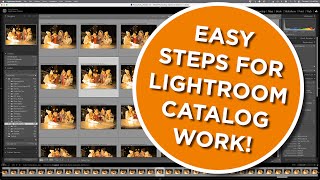 Simple steps to mastering the Lightroom Classic Catalog [upl. by Reiner]