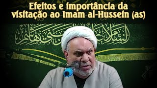 Efeitos e importância da visitação ao Imam alHussein as [upl. by Salbu412]