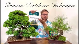 How to Fertilize a Bonsai Tree  One Easy Method [upl. by Ecyrb]