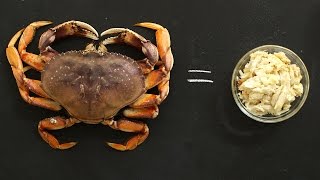 How to Break Down Fresh Crab Like a Pro  Kitchen Conundrums with Thomas Joseph [upl. by Apfel]