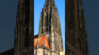 Die Glocken der St Lambertikirche zu Münster  Vollgeläut [upl. by Schmitz]