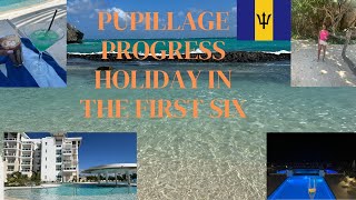 Pupillage Progress Holiday in the First Six [upl. by Dietz]