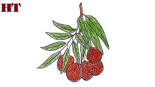 How to draw litchi step by step  Fruits drawing easy [upl. by Suoicul211]