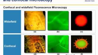 Principles and practice of confocal microscopy in life sciences [upl. by Dnalerb]