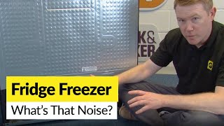 Have a Noisy Fridge Freezer Common Causes of Fridge Noise Revealed [upl. by Clintock140]