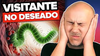 TRATAMIENTO EFECTIVO contra EL HELICOBACTER PYLORI  PASO a PASO [upl. by Baudelaire853]