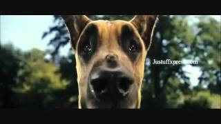 Marmaduke Trailer [upl. by Markos]