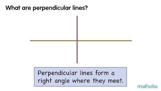 Perpendicular Lines [upl. by Ameluz]