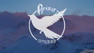 Artifer  Songbird feat Artyom Subichev of SHREZZERS Official Visualizer Video [upl. by Faust]