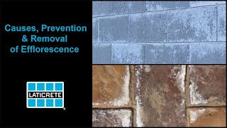 What Causes Efflorescence and how to remove and prevent it [upl. by Nemracledairam]