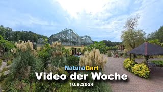 Video der Woche 1092024 [upl. by Glenine]