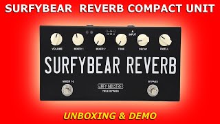 SURFYBEAR Spring Reverb COMPACT Unit • Unboxing amp Demo [upl. by Addia]