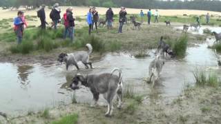 Telgthoeve wandeling 2016 [upl. by Ephrayim]