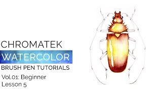 Watercolor Brush Pen Tutorials by Chromatek Beginner Vol01 Lesson 05 [upl. by Livingstone]