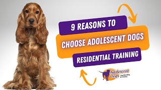 9 Reasons to Choose Adolescent Dogs Residential Dog Training [upl. by Ahdar736]