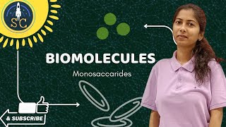 CARBOHYDRATES  BIOMOLECULES  BOTANY BIOMOLECULES CLASS  NEET  BOTANY BY ASHIMA [upl. by Ellennod]