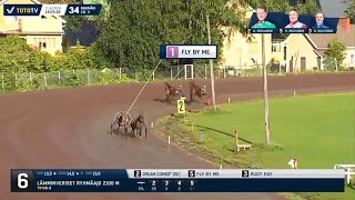 Toto65vihjeet Vermo 2182024 Ravit Ravivihjeet Vermo Trav Travtips [upl. by Snoddy]