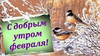 С ДОБРЫМ УТРОМ ФЕВРАЛЯ [upl. by Leno]