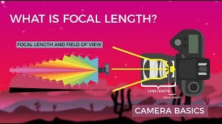 Camera Basics  Focal Length [upl. by Olegnaleahcim704]