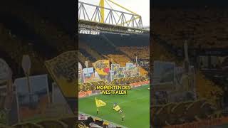 Dortmund Choreo 50 Jahre Westfalenstadion [upl. by Yerok]