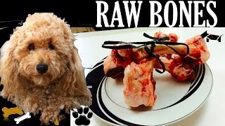 How to make RAW DOG BONES DIY Dog Food Diet  a tutorial by Cooking For Dogs [upl. by Eal]