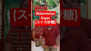 Watermelon Sugar…literally watermelonsugar harrystyles 邦楽 japanesetraditionalmusic [upl. by Yditsahc]