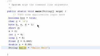 Datentypen  Java 1004 [upl. by Natek]