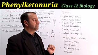 Phenylketonuria Class 12 Biology  Point Mutation  DNA and Chromosome [upl. by Benita]