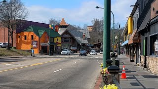 Live From Warm 76 Degree Gatlinburg [upl. by Anitnas791]