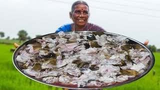 Sardinella Lemuru Dried Fish With Tomato DriedElaFish Recipe [upl. by Maltzman]