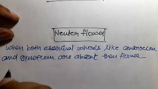 NEUTER FLOWER  SEXUAL REPRODUCTION IN FLOWERING PLANTS CLASS 12 BIOLOGY [upl. by Mikahs226]