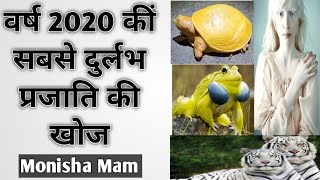 पीला कछुआ Yellow Turtle पीला मेंढक Yellow Frogसफ़ेद बाघ Albino Tiger दुर्लभ प्रजातियां 2020 [upl. by Naired]