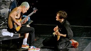 Red Hot Chili Peppers  Californication Live Intro Jams with Josh Klinghoffer [upl. by Atikihc653]