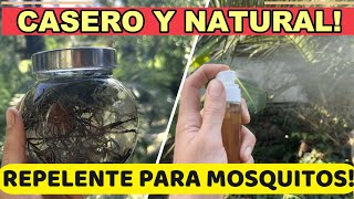 Adiós MOSQUITOS 🦟 Repelente Casero Natural Con Plantas [upl. by Wanyen]